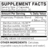 MegaSporeBiotic - Image 2