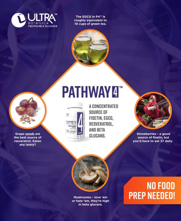 ONCO-Adjunct™ Pathway 4™ - Image 4