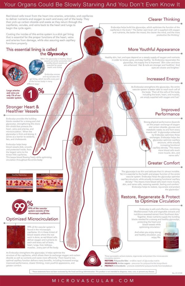 endocalyx pro information sheet