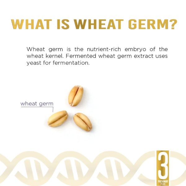 OncoAddjunctPath3WheatGerm